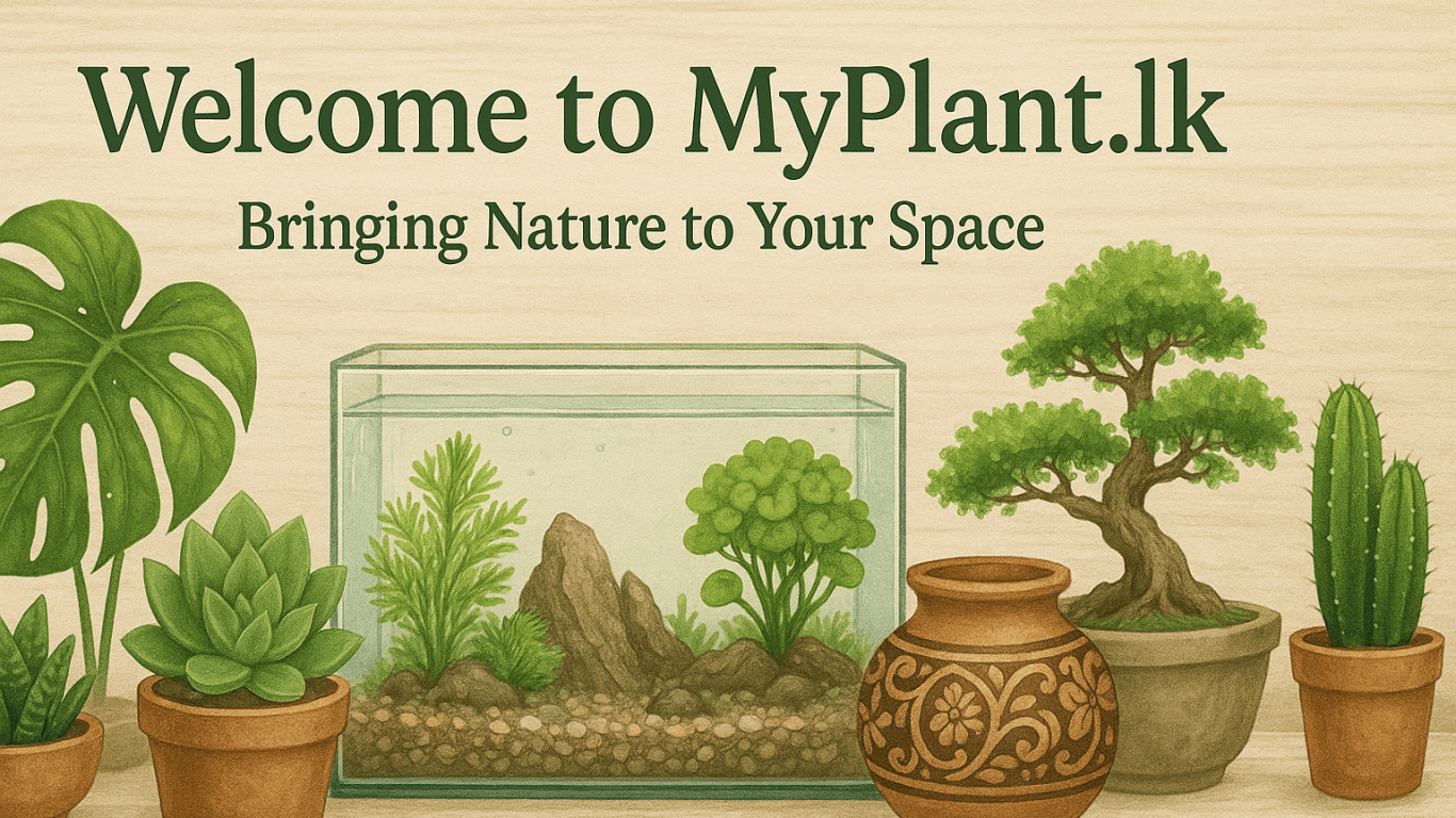 My plant agro